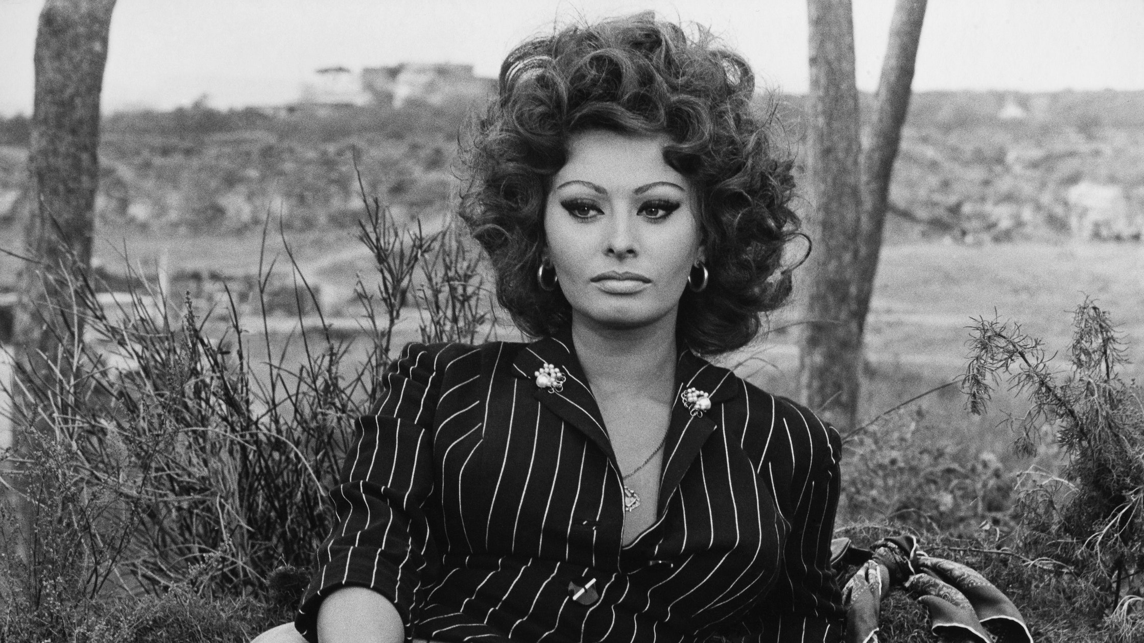 Sophia Loren